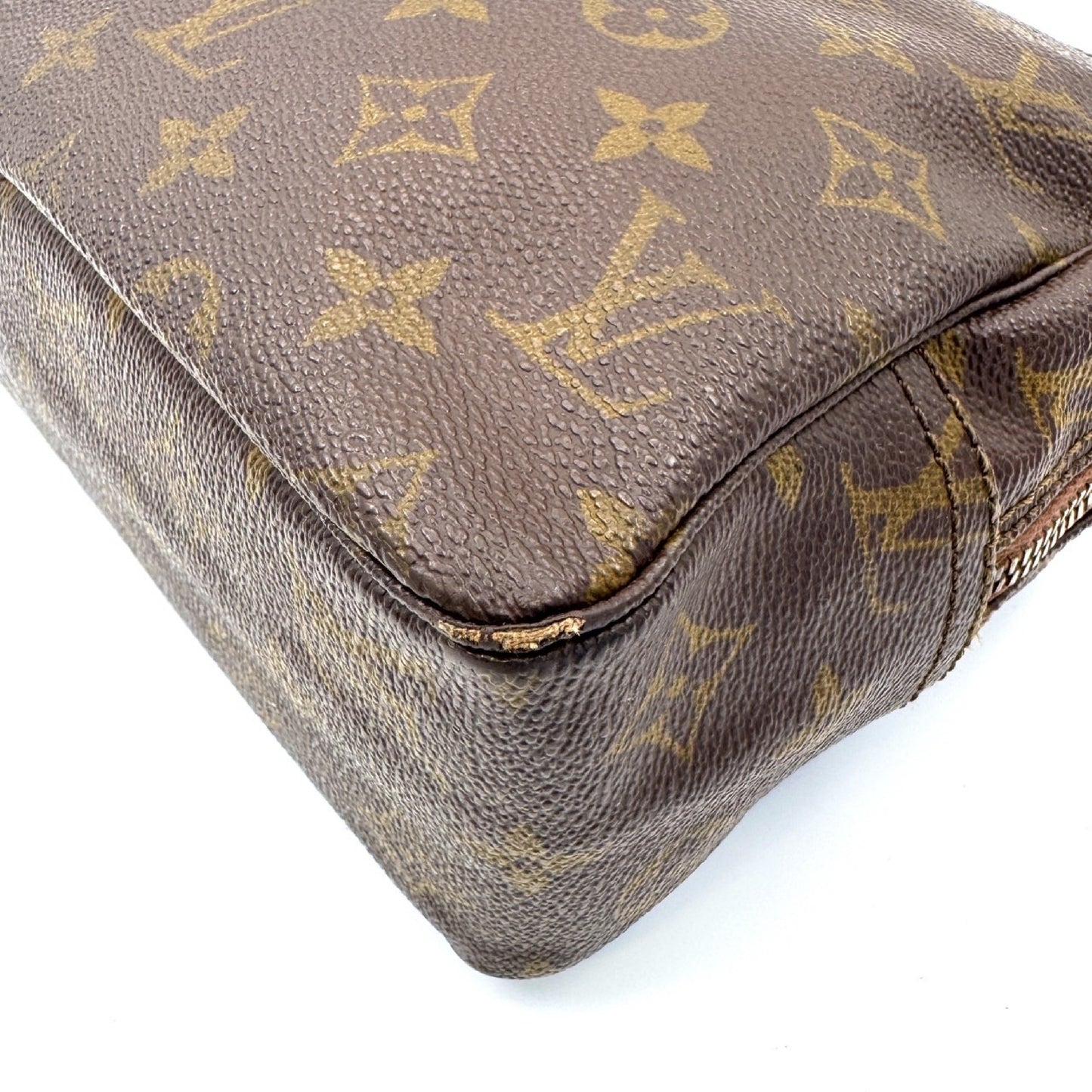 LOUIS VUITTON Monogram True Toilet Pouch