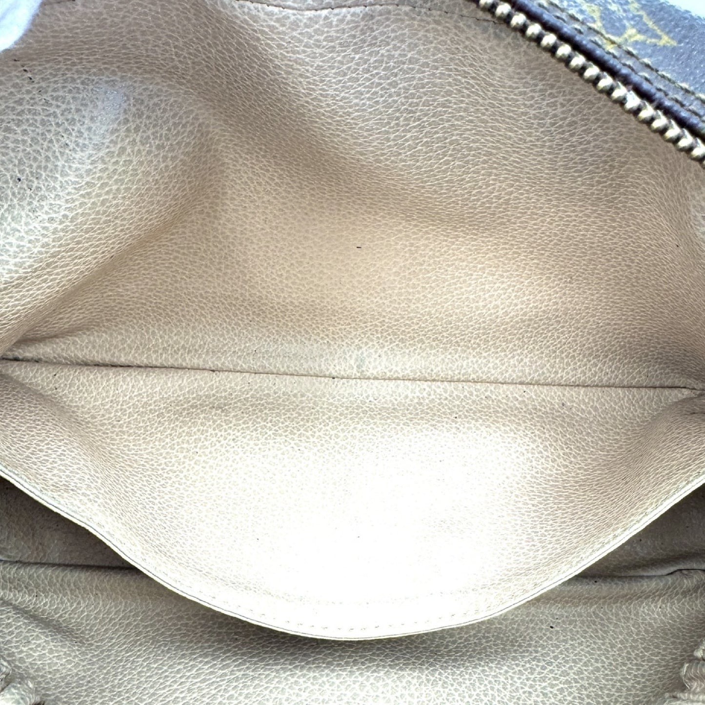 LOUIS VUITTON Monogram True Toilet Pouch