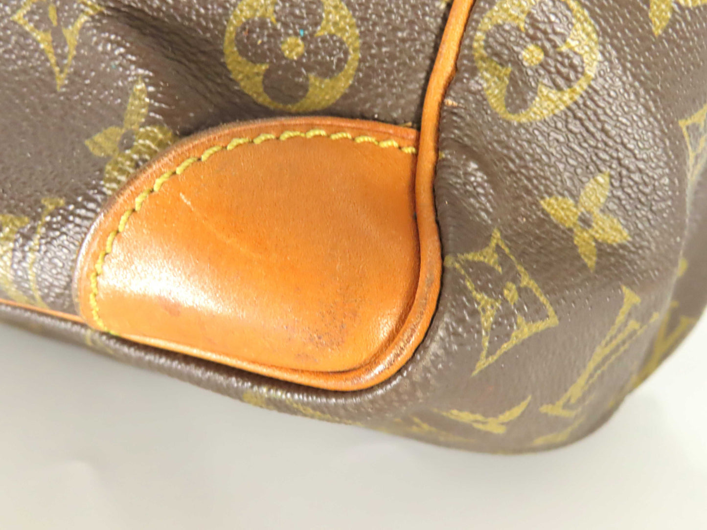 LOUIS VUITTON Monogram Louis Vuitton Amazon Monogram Shoulder Bag