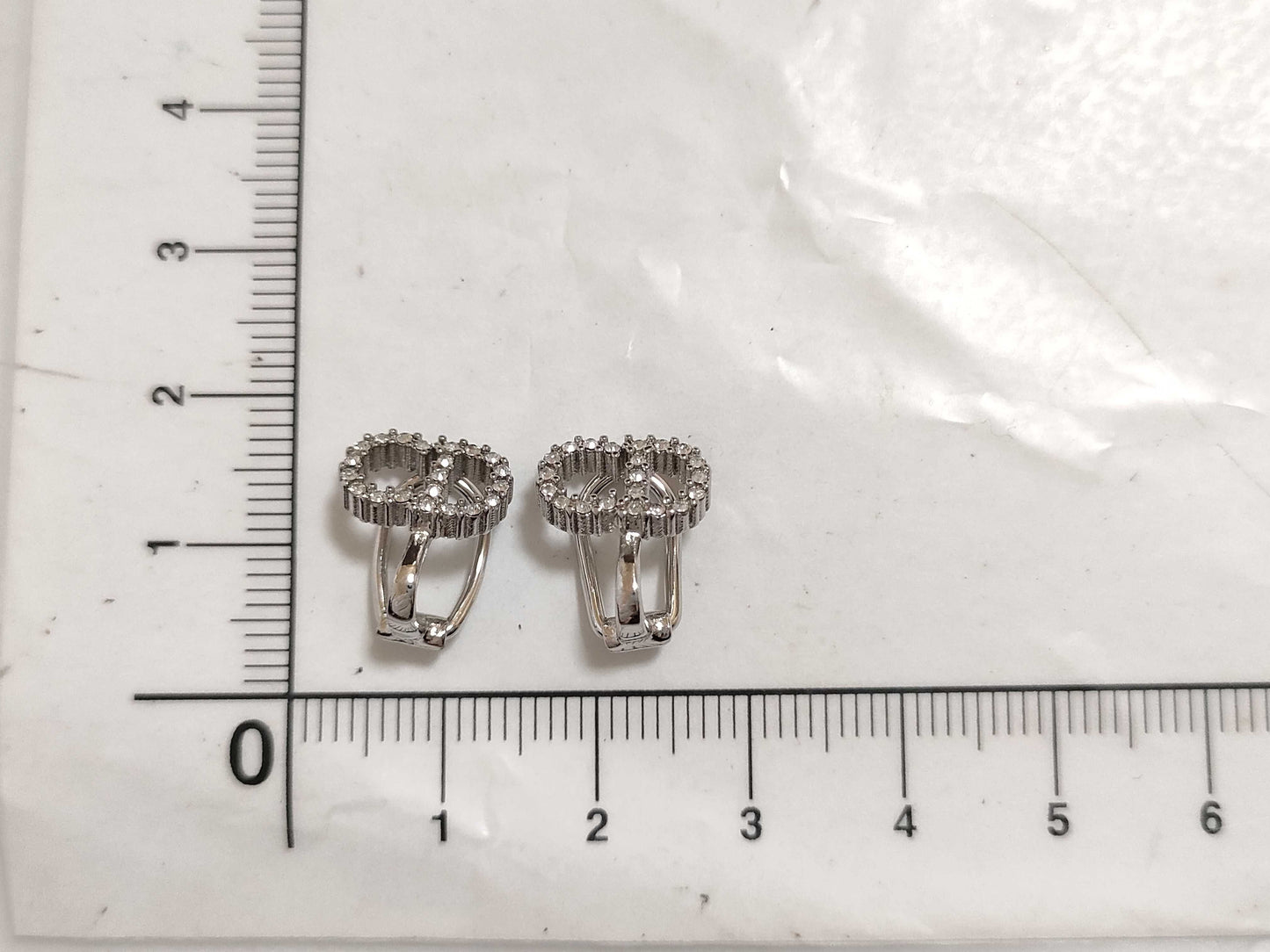 Dior Christian Dior CD Logo Rhinestone Clair D Lune Earrings