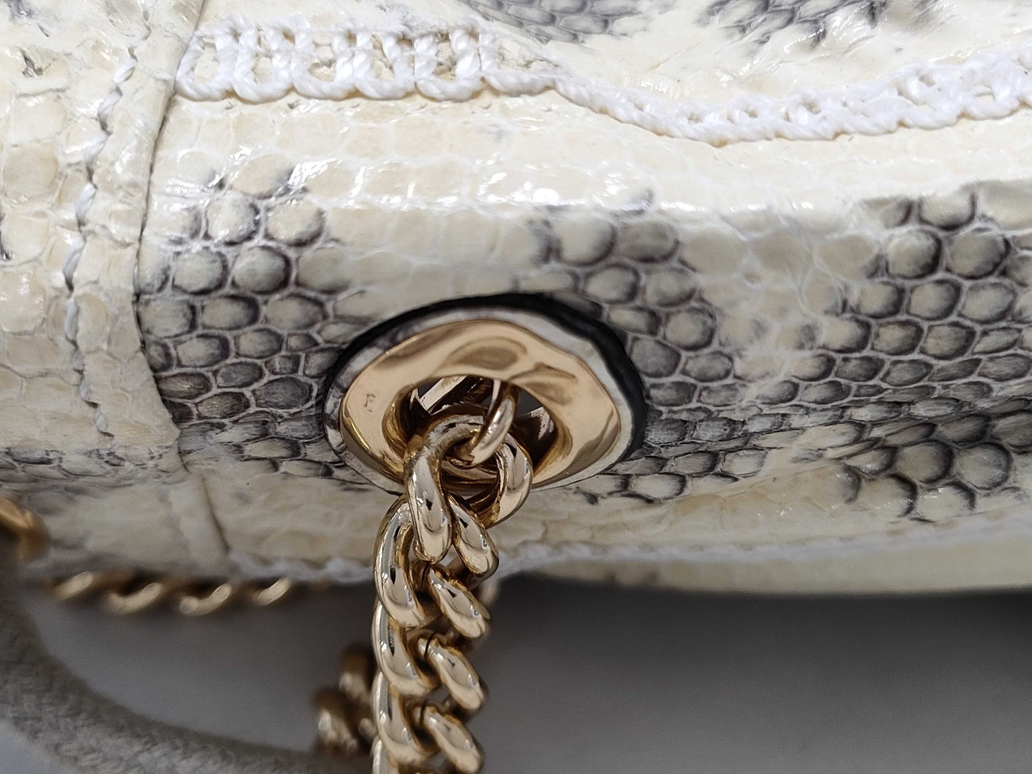 GUCCI Gucci Python 576432 Chain Shoulder Bag Shoulder Bag