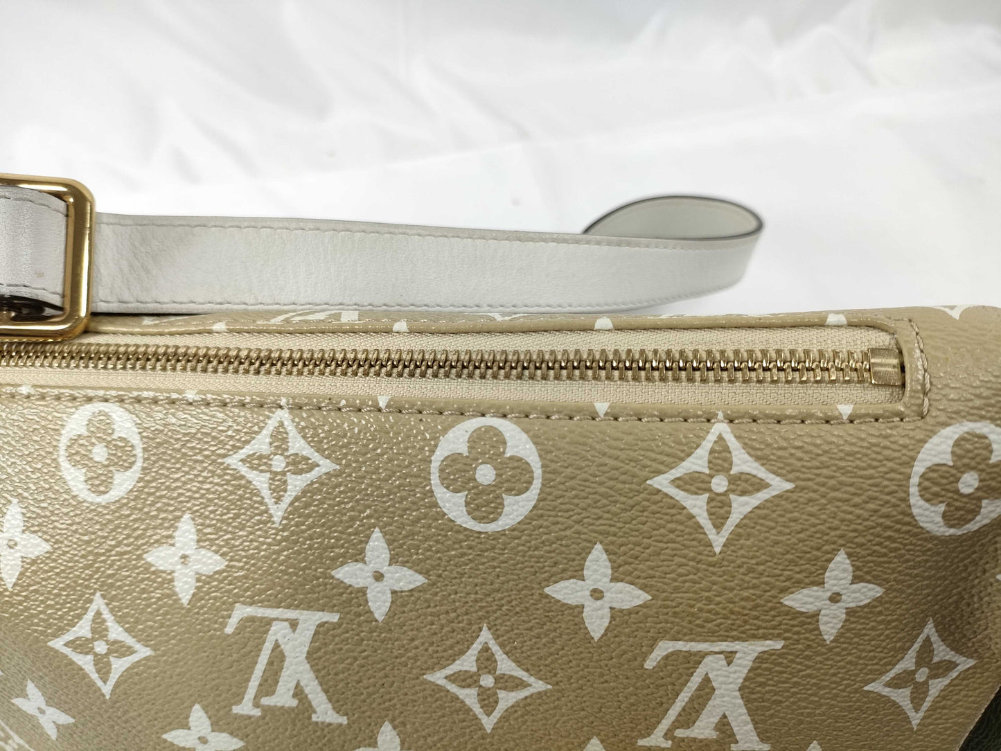 LOUIS VUITTON LOUIS VUITTON Bum Bag Waist Bag