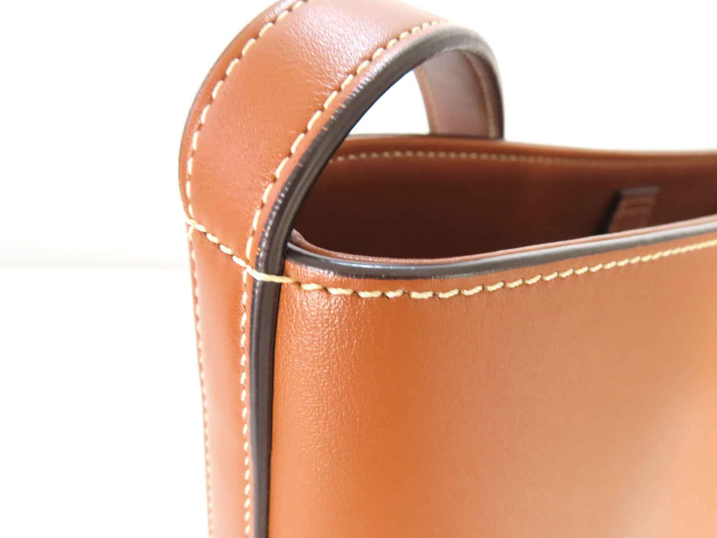 CELINE Triomphe Cuir Bucket A-Rank Shoulder Bag