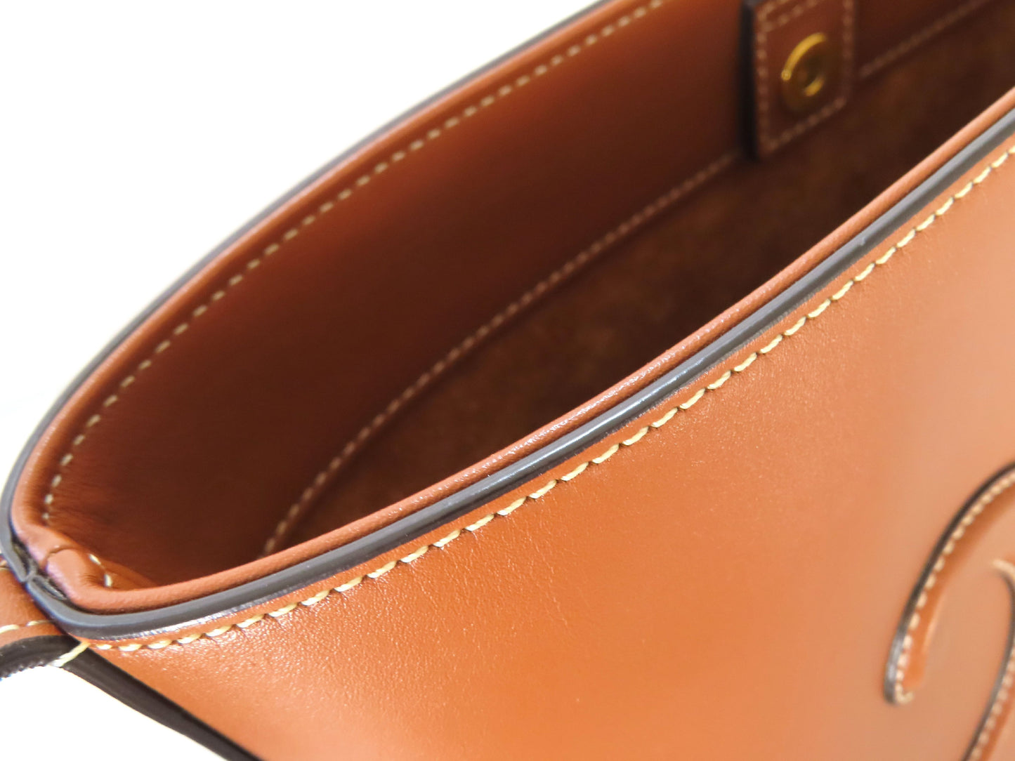 CELINE Triomphe Cuir Bucket A-Rank Shoulder Bag
