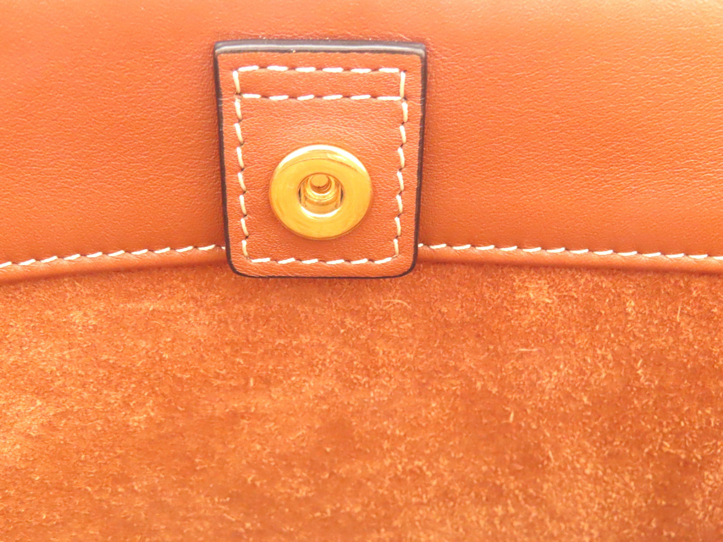 CELINE Triomphe Cuir Bucket A-Rank Shoulder Bag