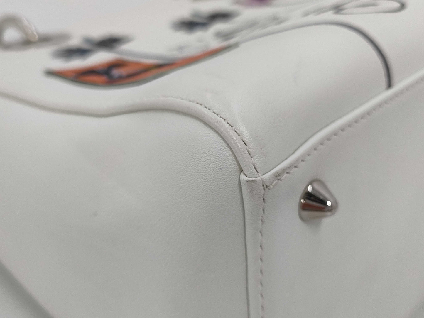 Dior Lady Dior Paradise Handbag Handbag