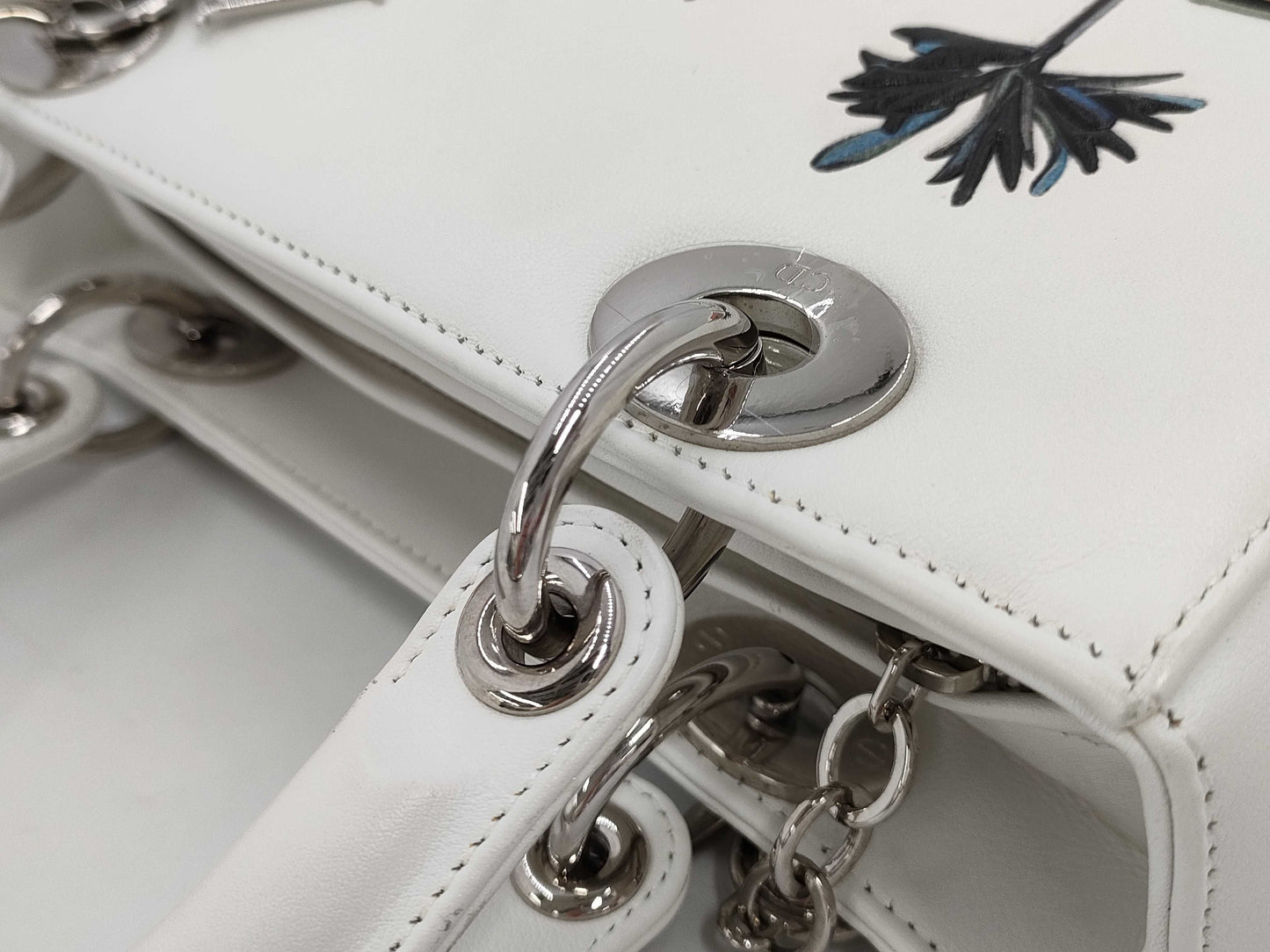 Dior Lady Dior Paradise Handbag Handbag