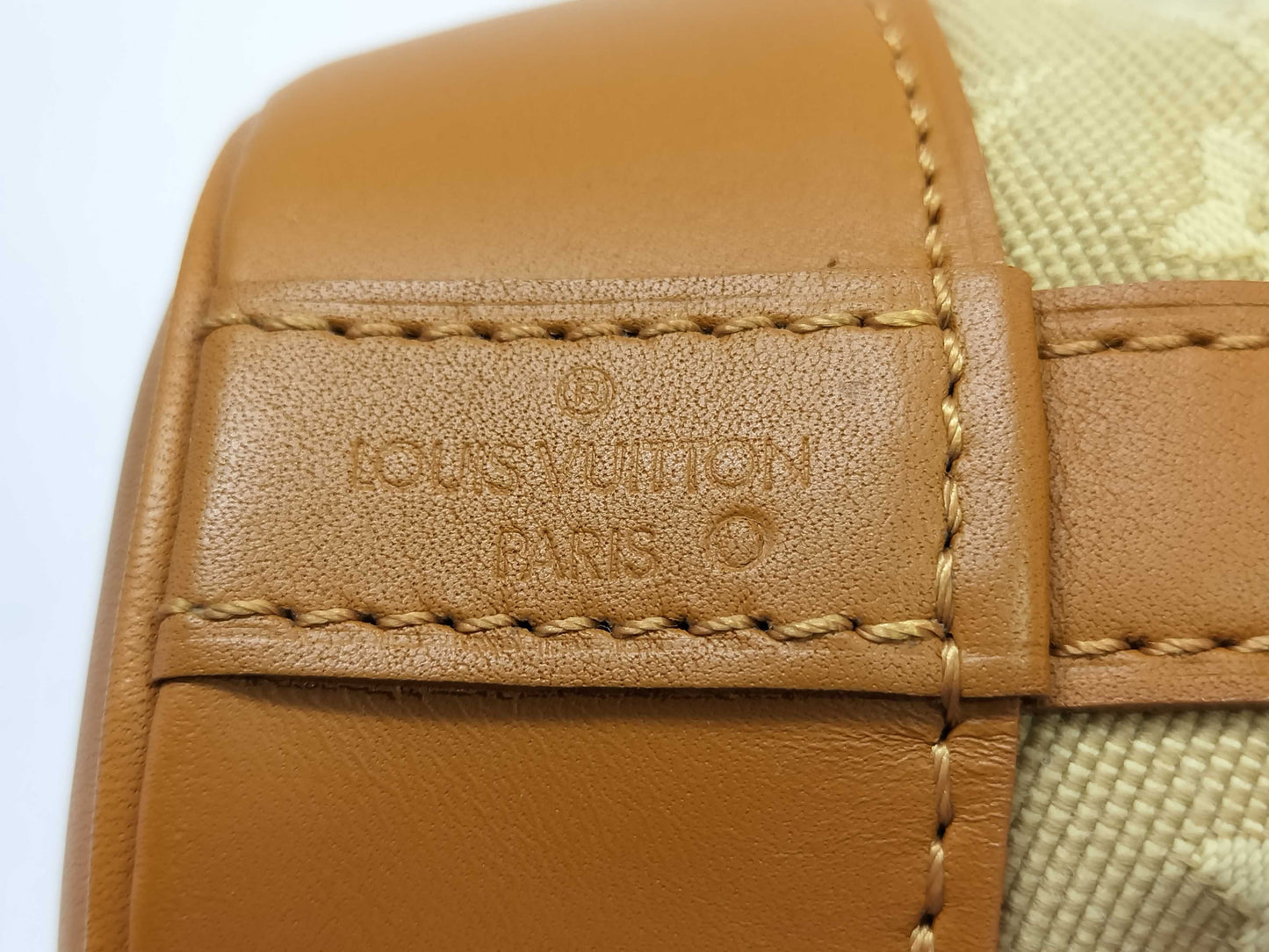 LOUIS VUITTON Monogram Mini-Lan Louis Vuitton Mini-Lan Noelie Shoulder Bag