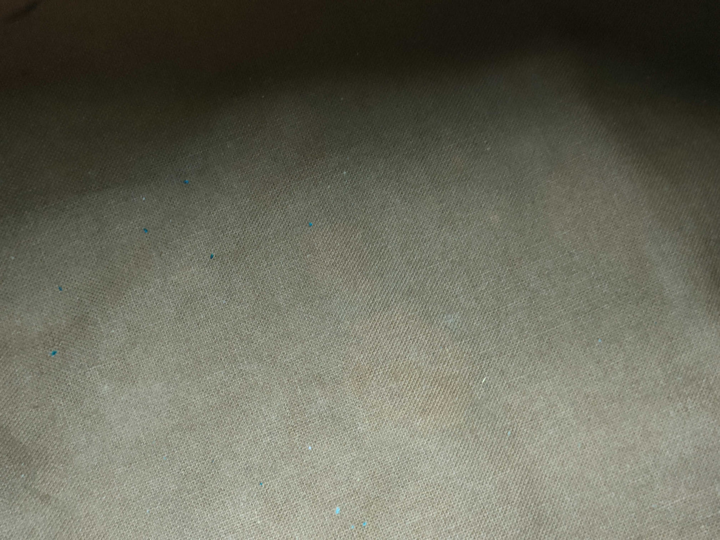 LOUIS VUITTON Monogram Louis Vuitton Speedy Handbag