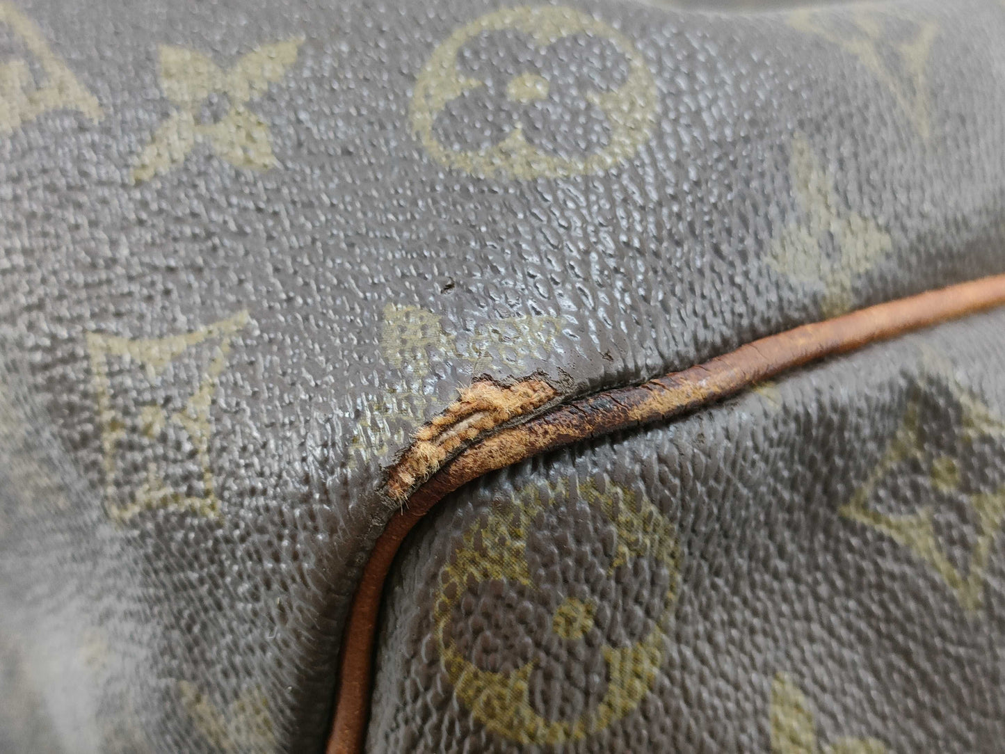 LOUIS VUITTON Monogram Louis Vuitton Speedy Handbag