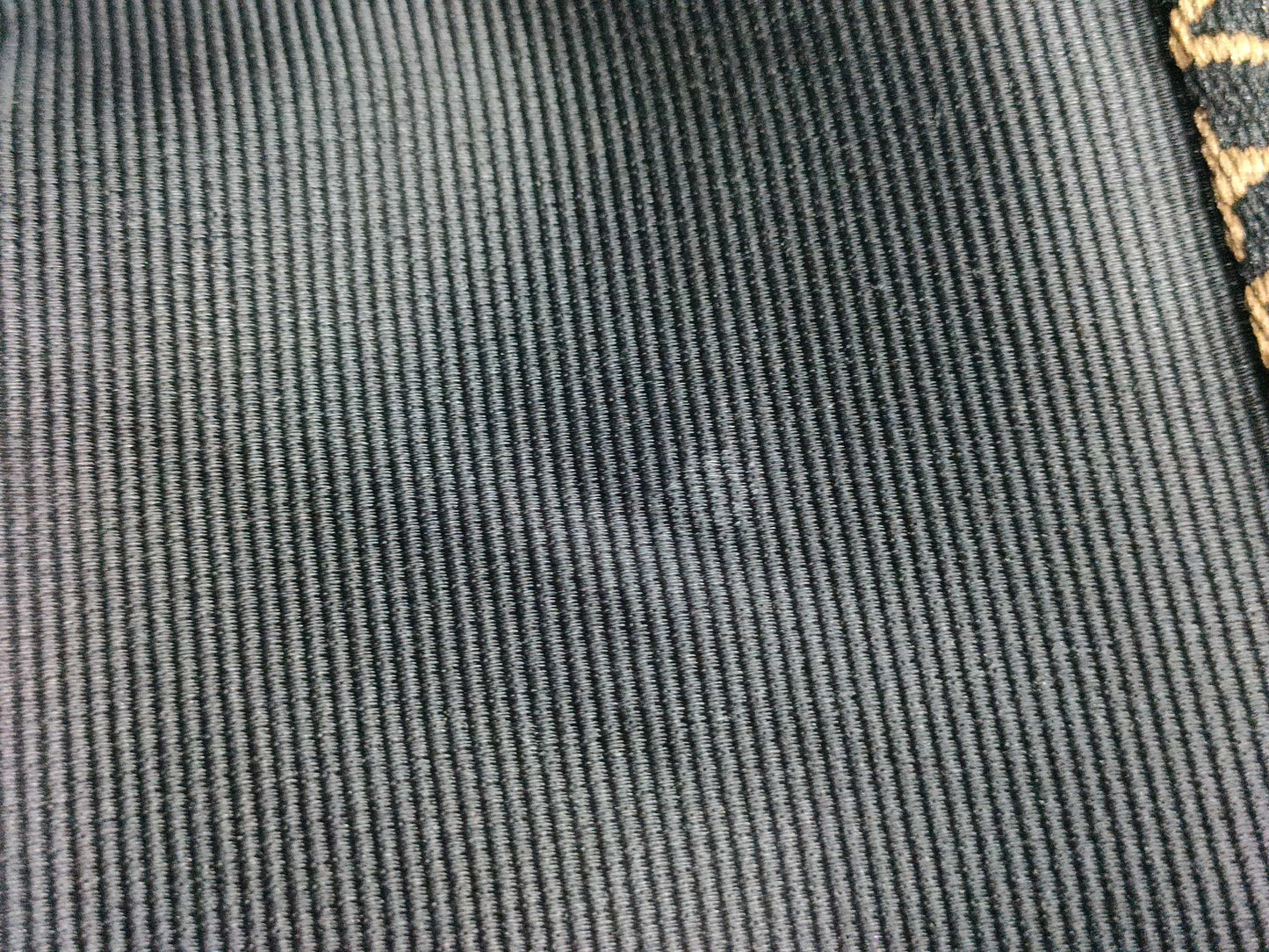 FENDI Zucca pattern Fendi handbag nylon tote bag