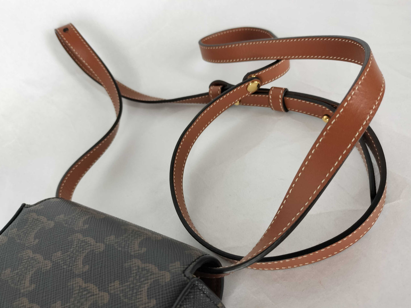 CELINE Triomphe Mini Claude Shoulder Bag