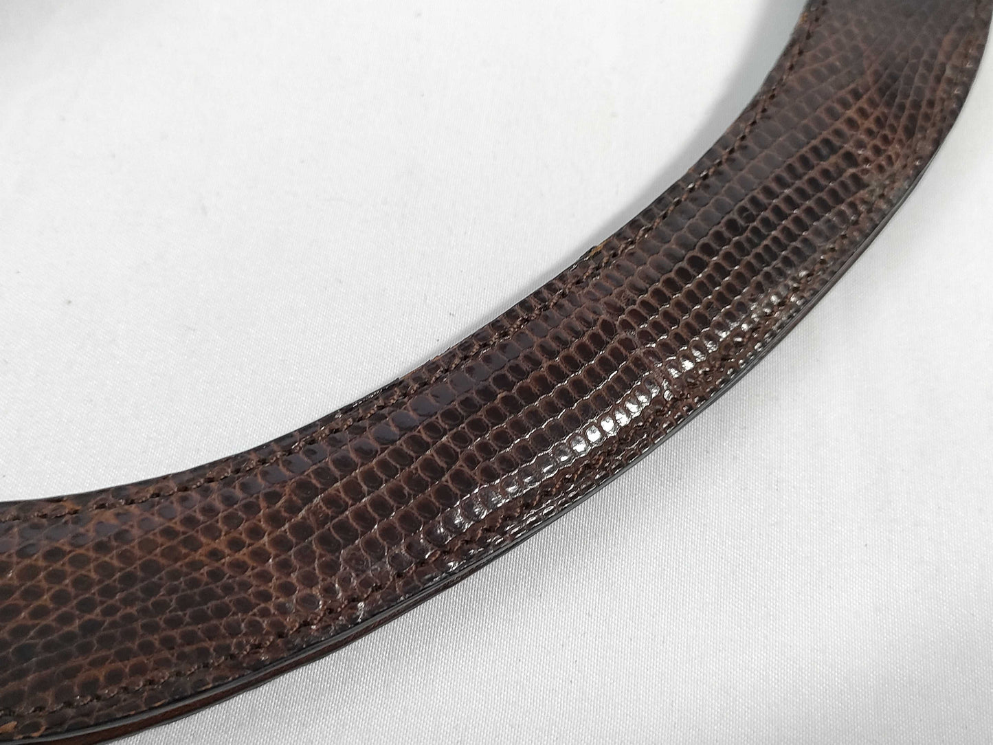 CELINE Circle Logo Handbag in Lizard Brown
