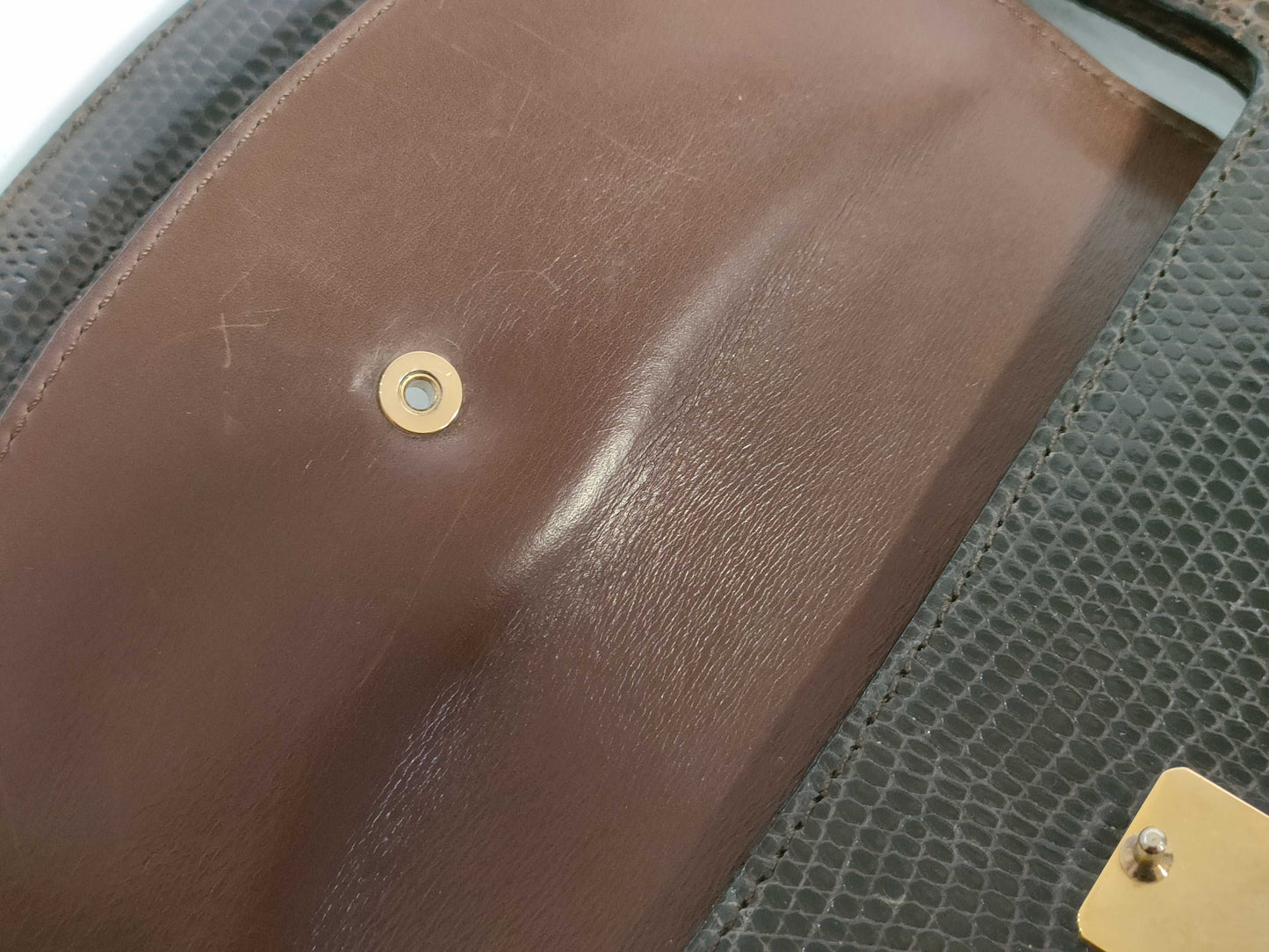 CELINE Circle Logo Handbag in Lizard Brown