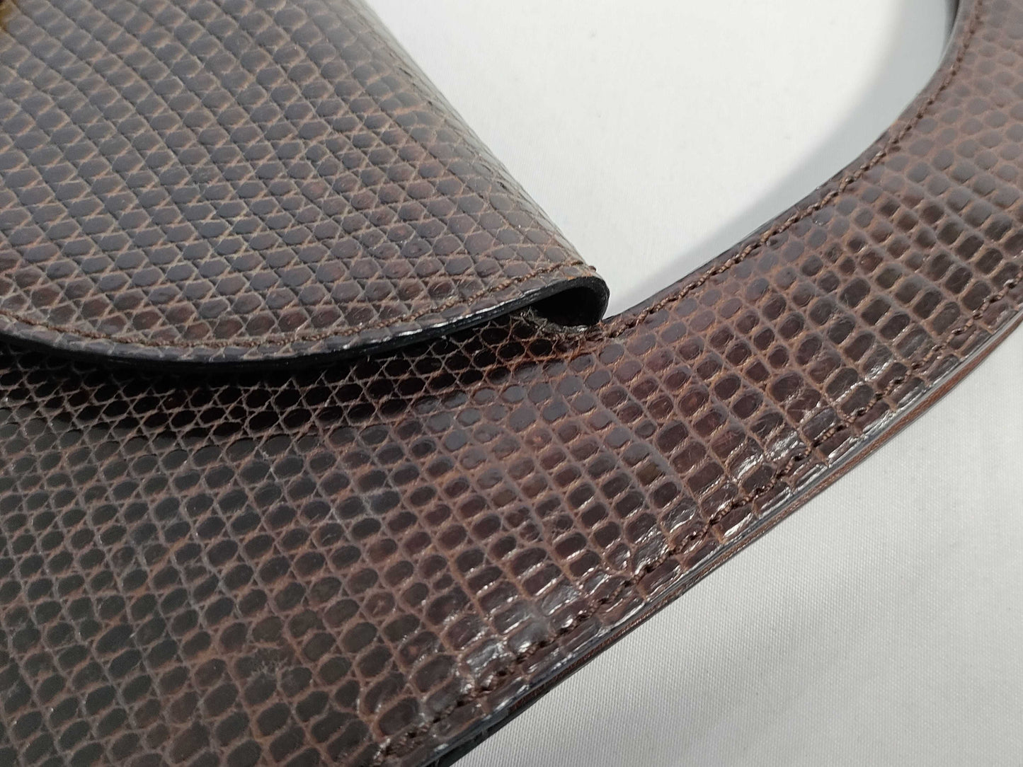 CELINE Circle Logo Handbag in Lizard Brown