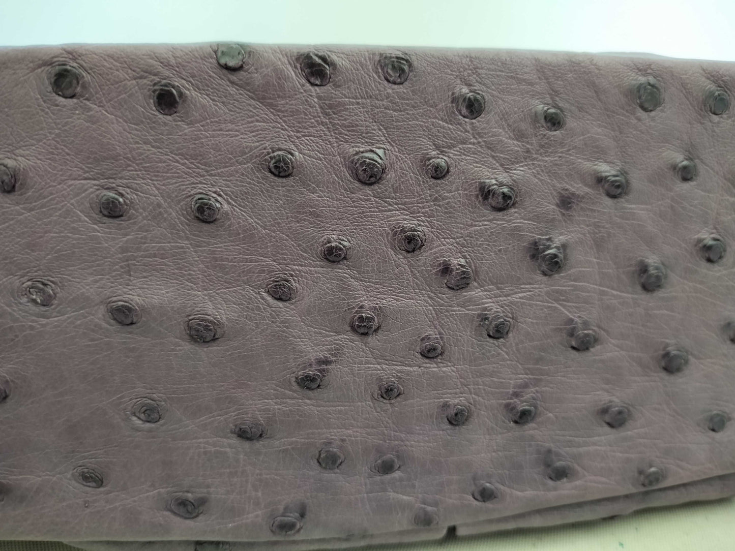 Takechi Ostrich Handbag
