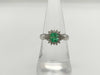 E0.70ct D0.27ct Pt900 3.7g Ring