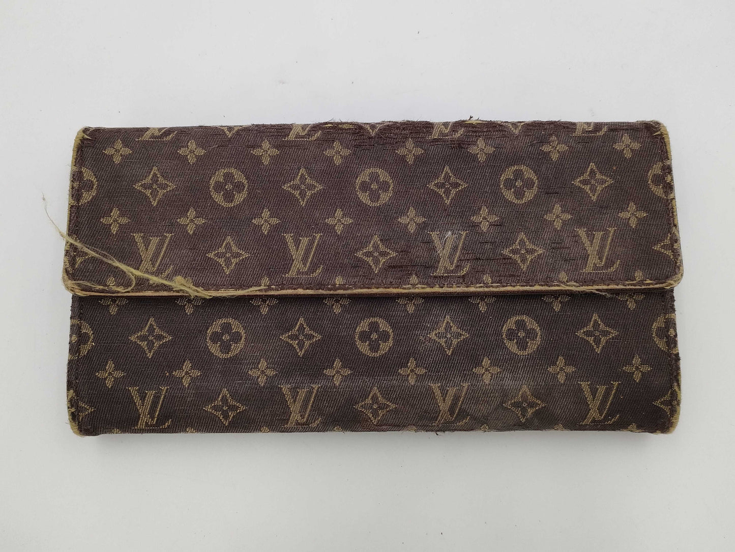 LOUIS VUITTON Mountain 5-piece bag