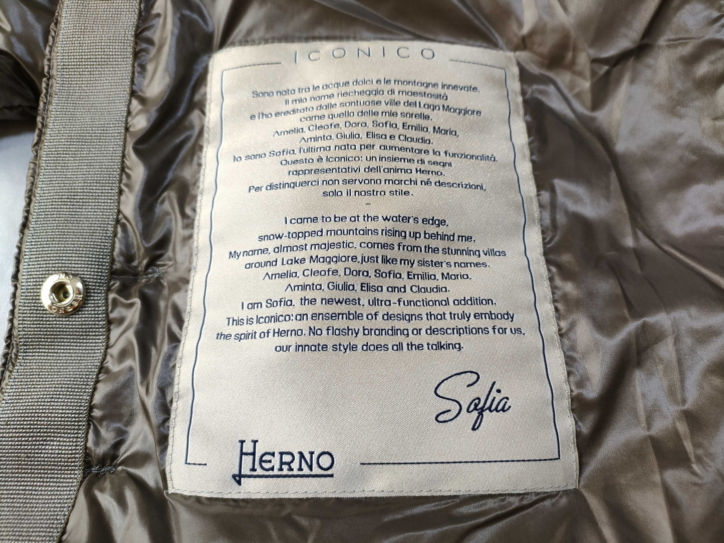 HERNO New with tags ICONICO Brown Jacket P10046DIC