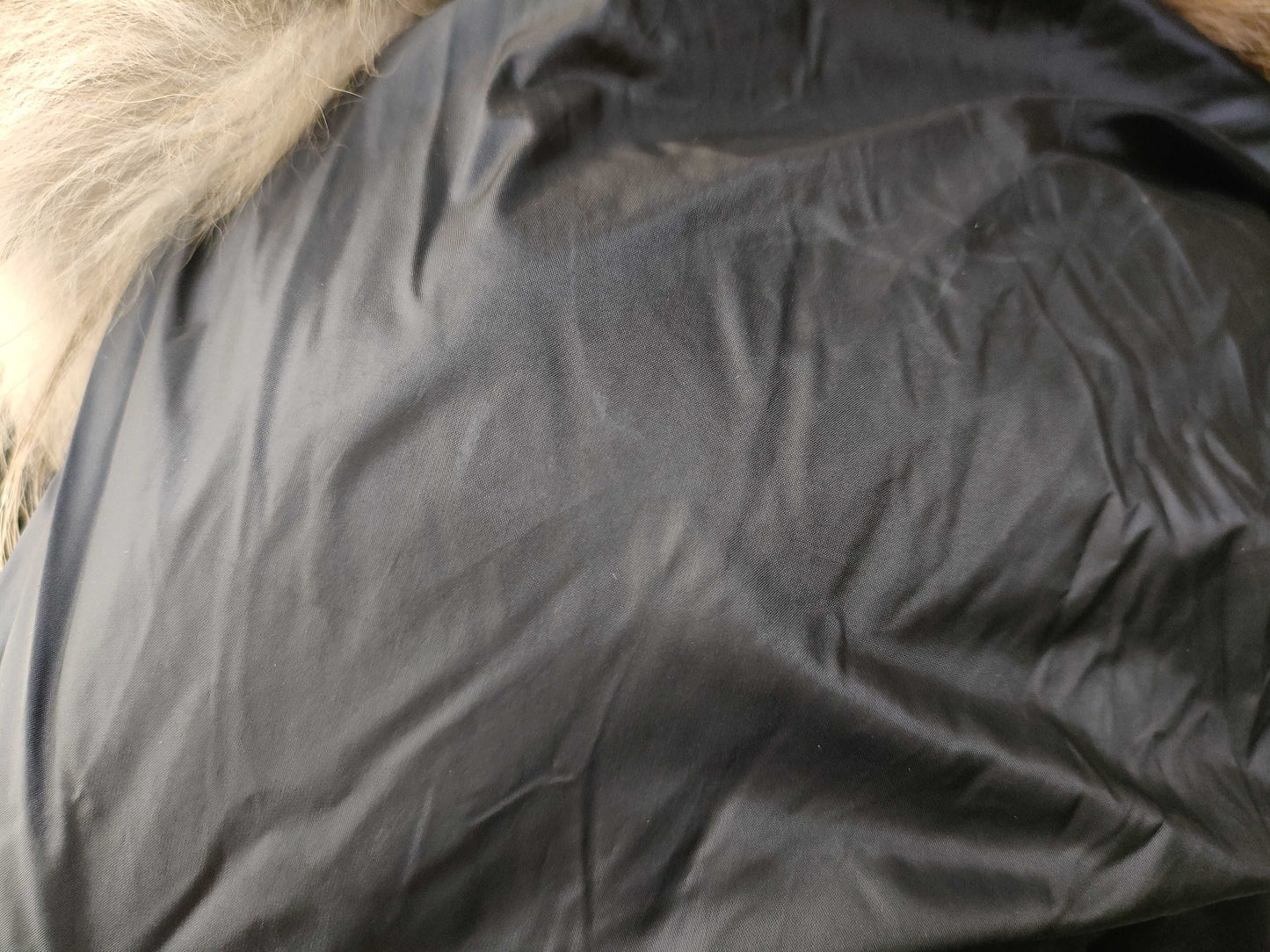 Woolrich Scarlet Parka Black Jacket