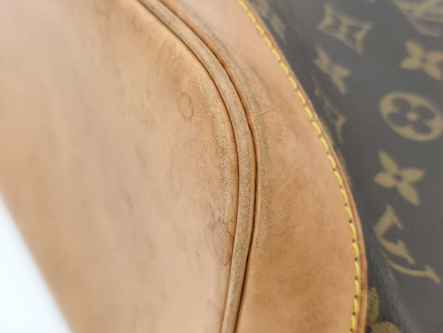 LOUIS VUITTON LOUIS VUITTON LV Monogram Alma PM Handbag Bag