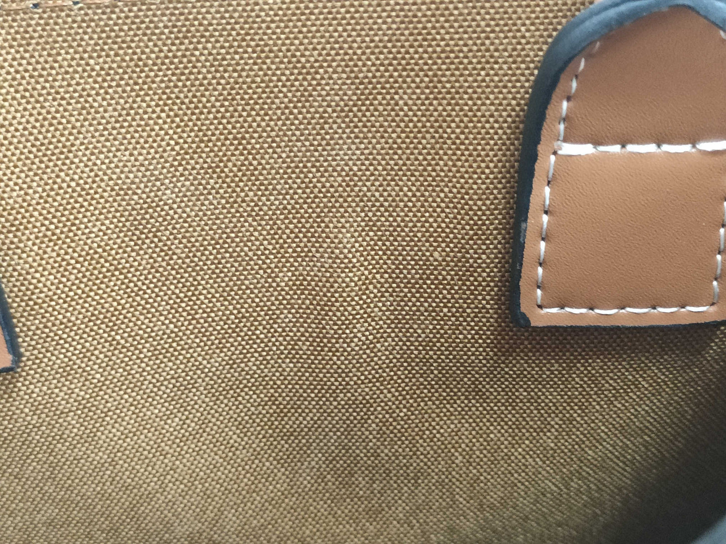 CELINE Triomphe Mini Vertical Cabas Shoulder Bag