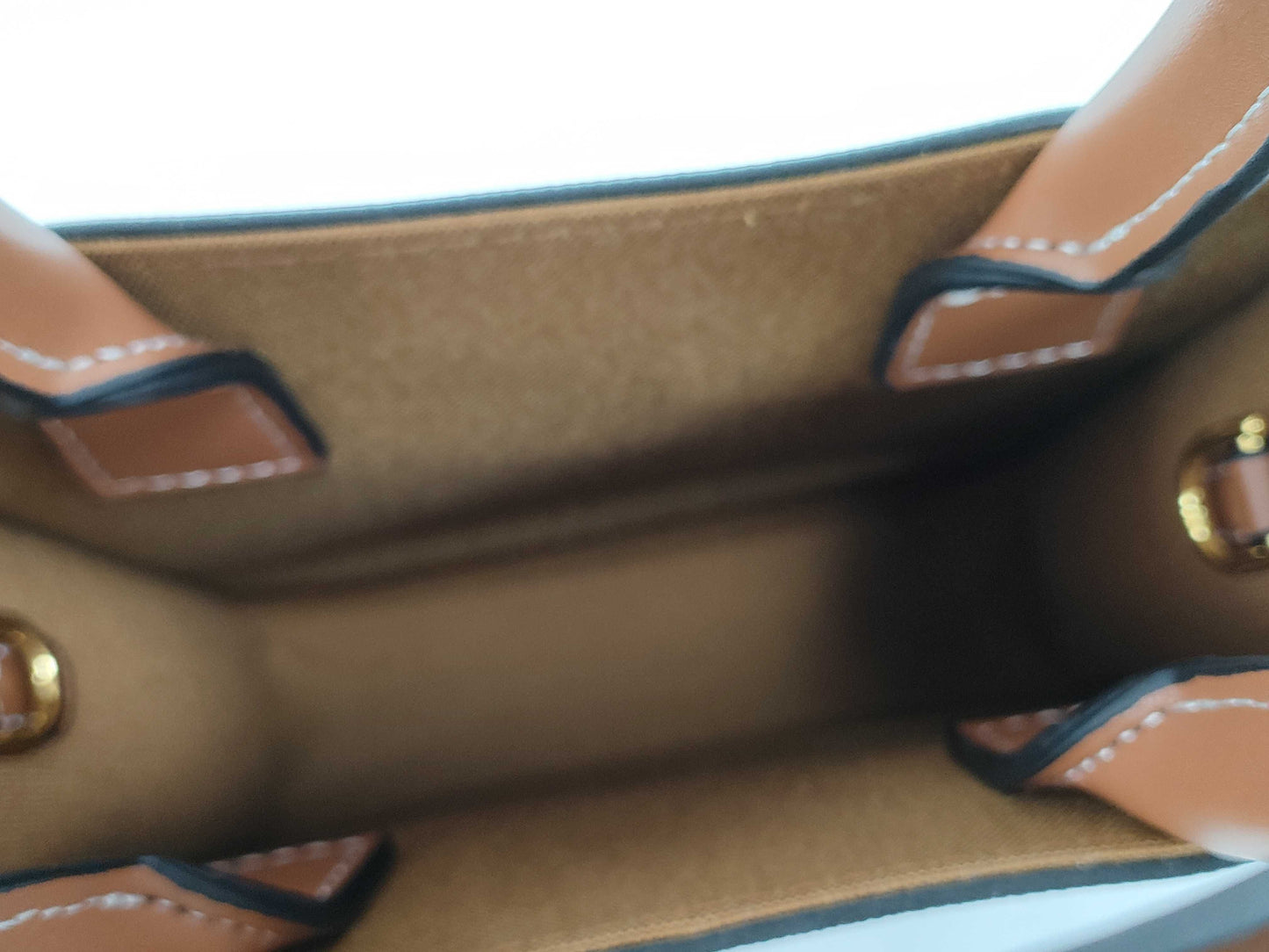 CELINE Triomphe Mini Vertical Cabas Shoulder Bag