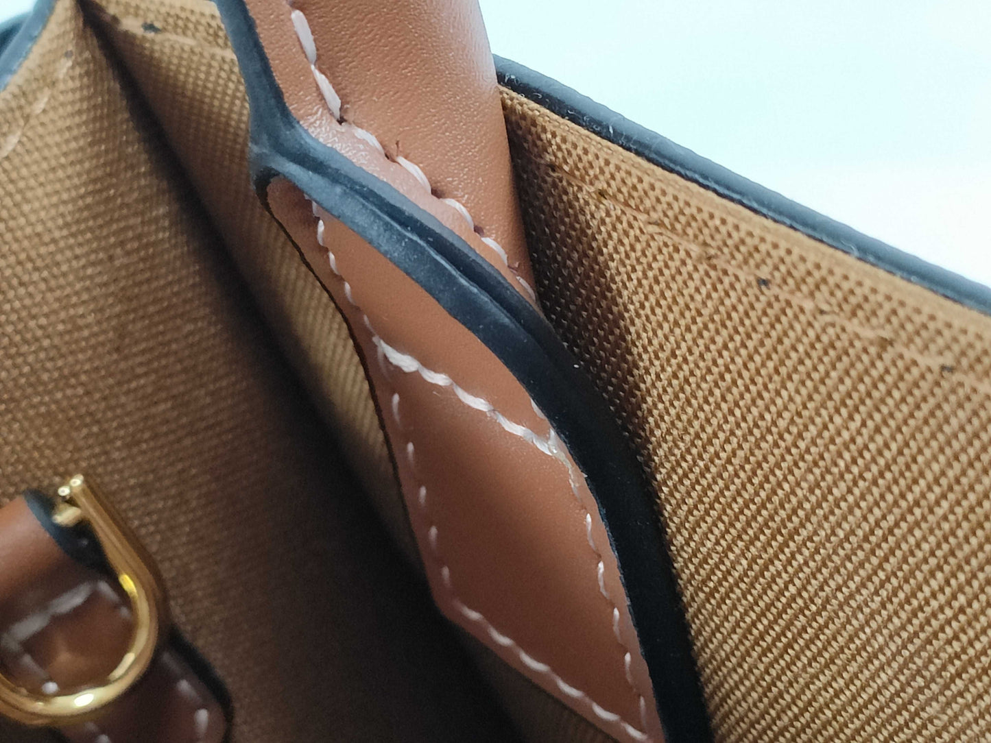 CELINE Triomphe Mini Vertical Cabas Shoulder Bag