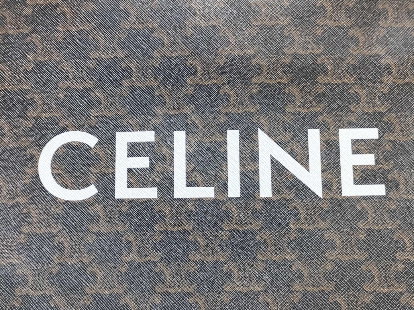 CELINE Triomphe Small Vertical Cabas Handbag Tote Bag
