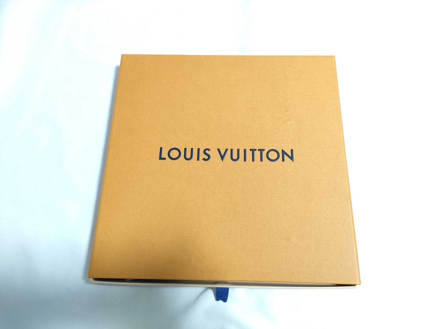 LOUIS VUITTON LV Scarf Scarf