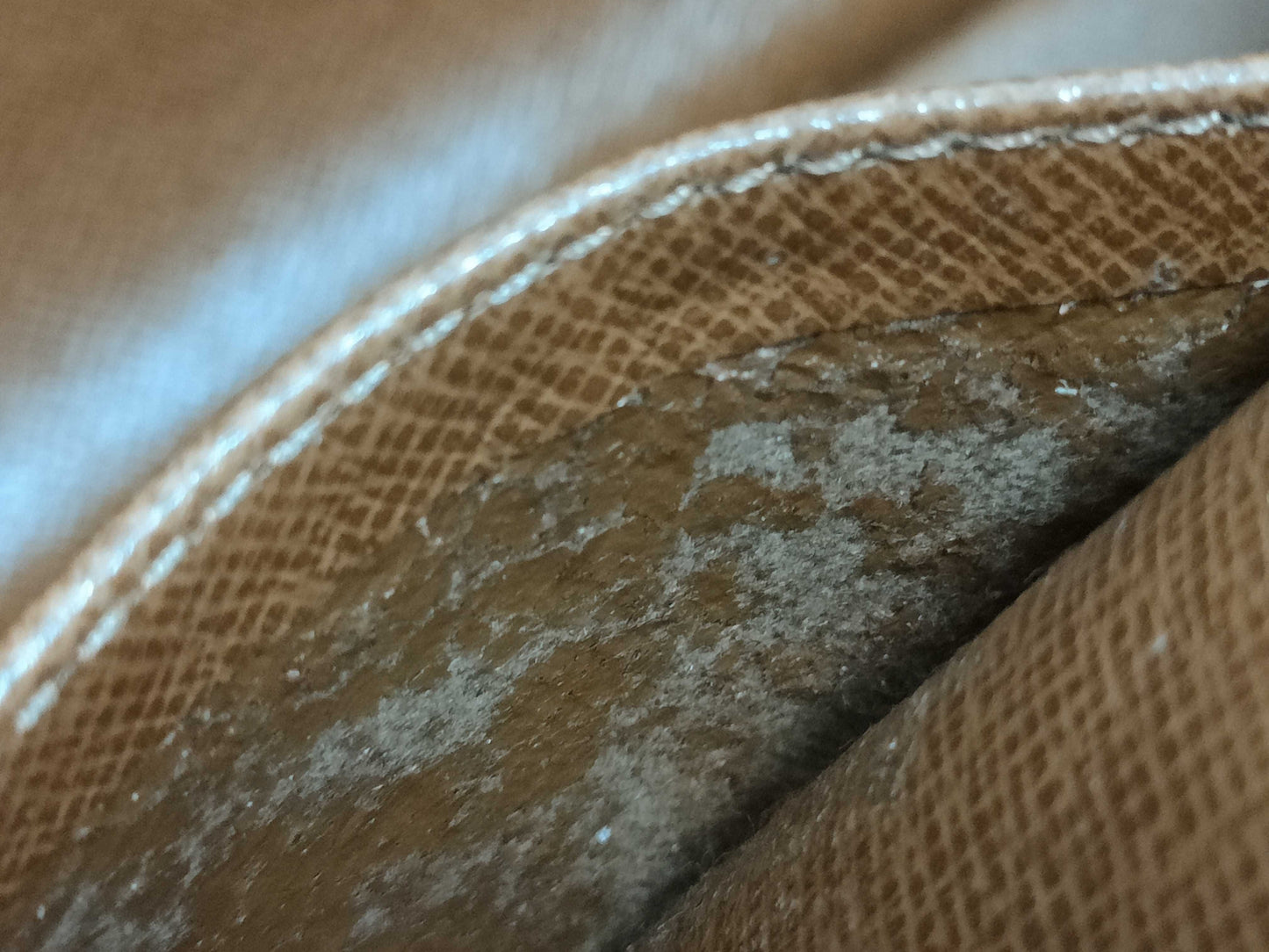 LOUIS VUITTON Unidentified Monogram Louis Vuitton Bag Second Bag
