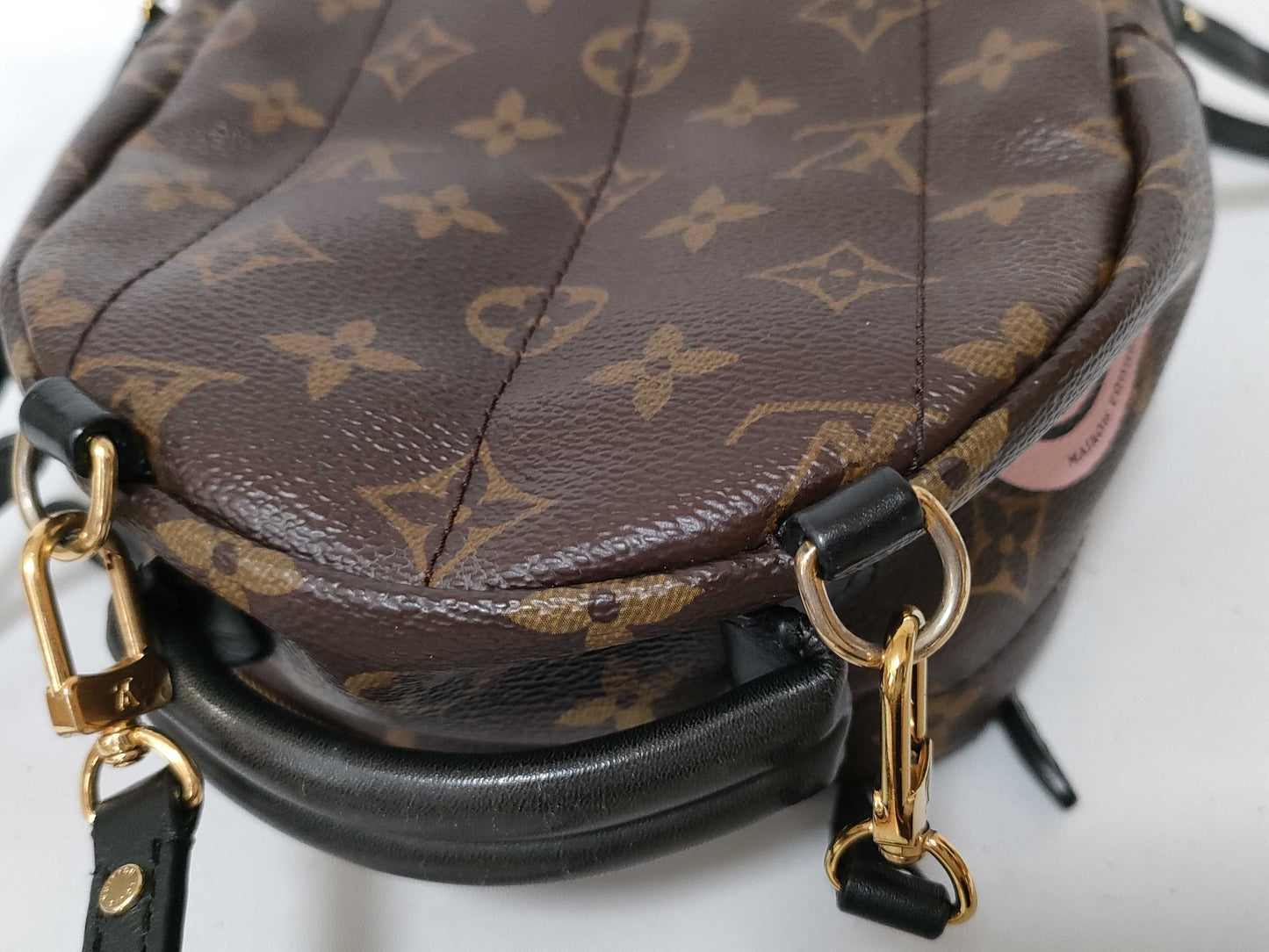 LOUIS VUITTON Monogram LV Palm Springs Mini World Tour Backpack