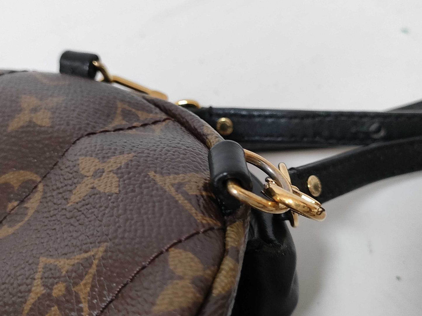 LOUIS VUITTON Monogram LV Palm Springs Mini World Tour Backpack