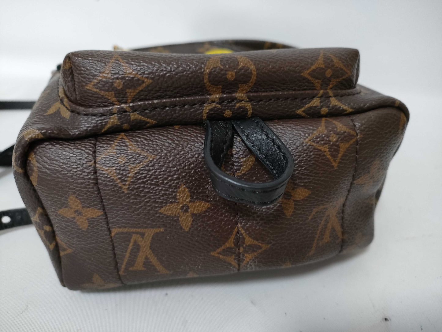 LOUIS VUITTON Monogram LV Palm Springs Mini World Tour Backpack