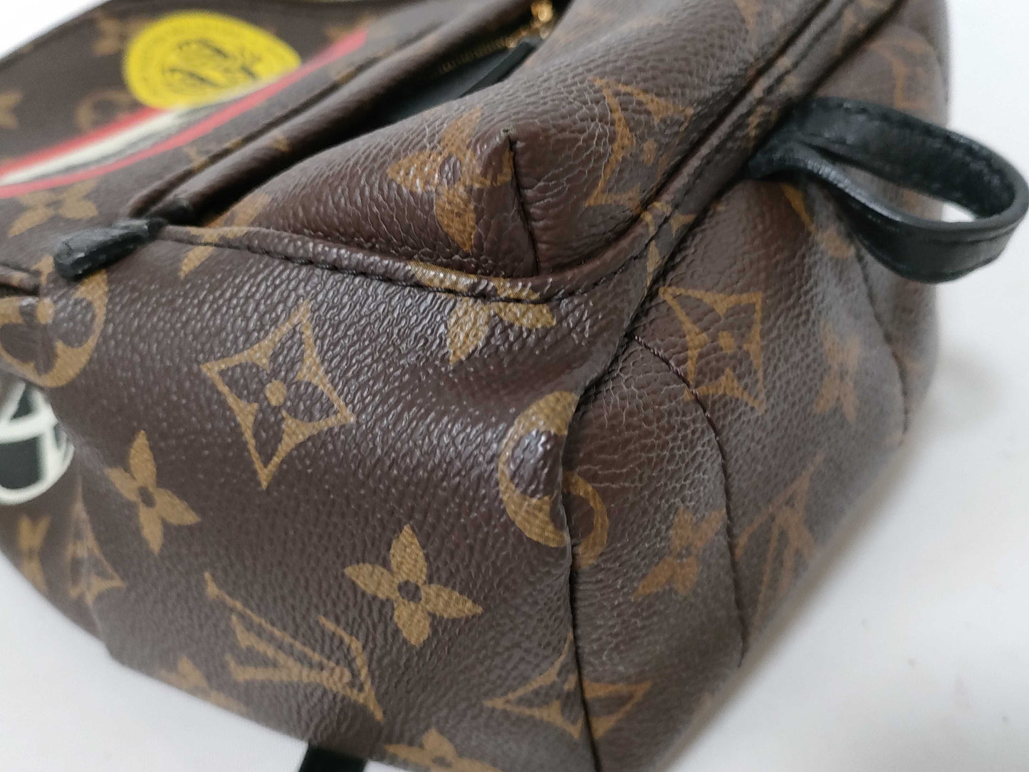 LOUIS VUITTON Monogram LV Palm Springs Mini World Tour Backpack