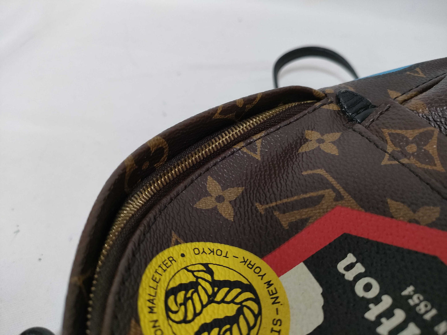 LOUIS VUITTON Monogram LV Palm Springs Mini World Tour Backpack