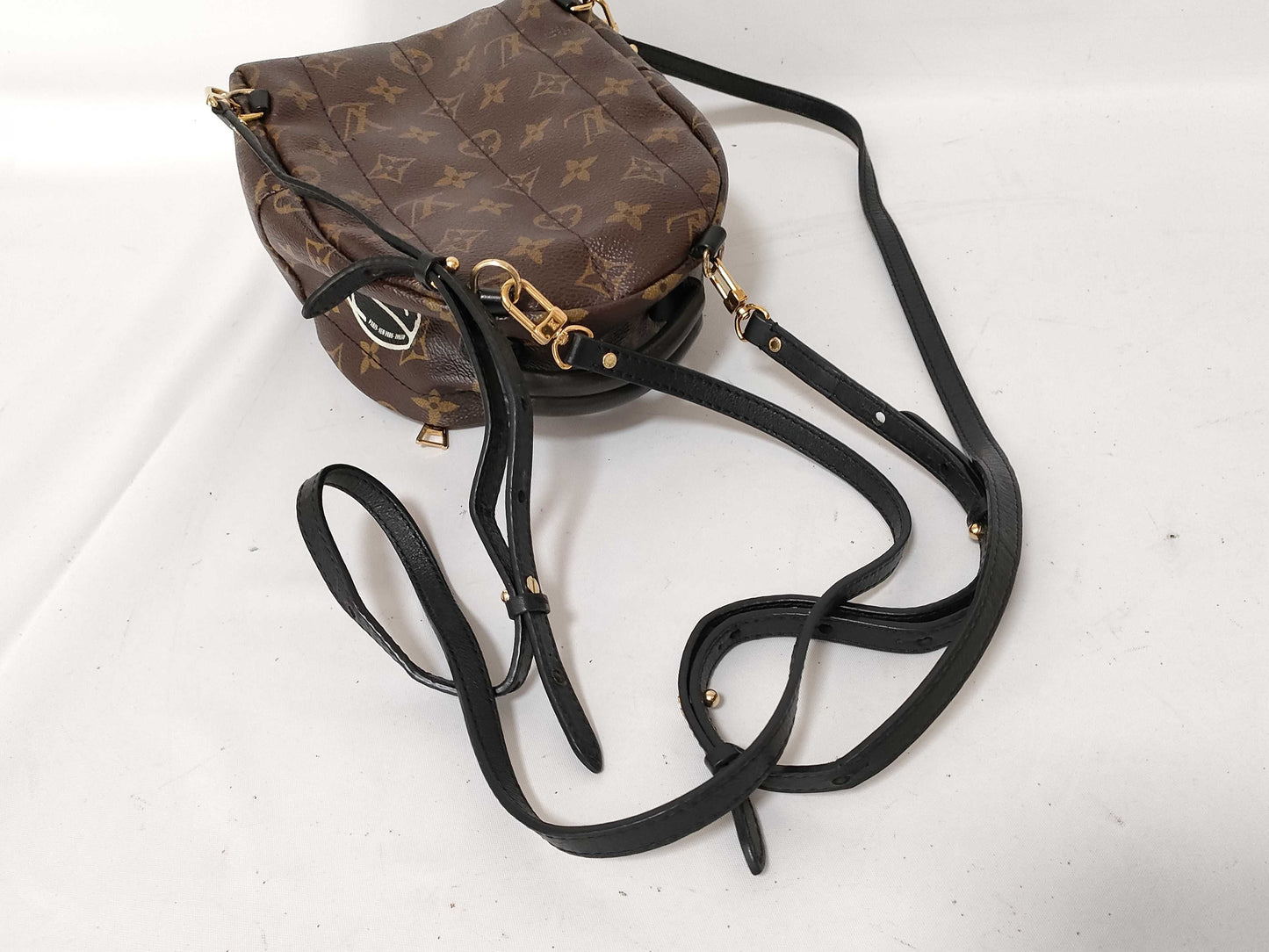 LOUIS VUITTON Monogram LV Palm Springs Mini World Tour Backpack