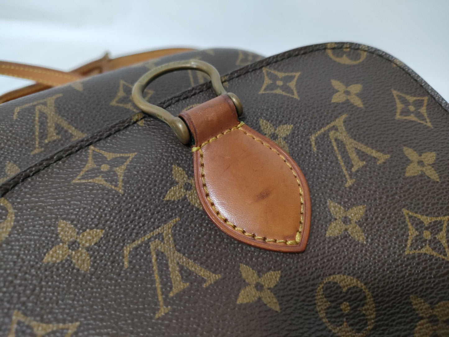 LOUIS VUITTON Monogram LV Mono Mini Saint-Cloud Shoulder Bag