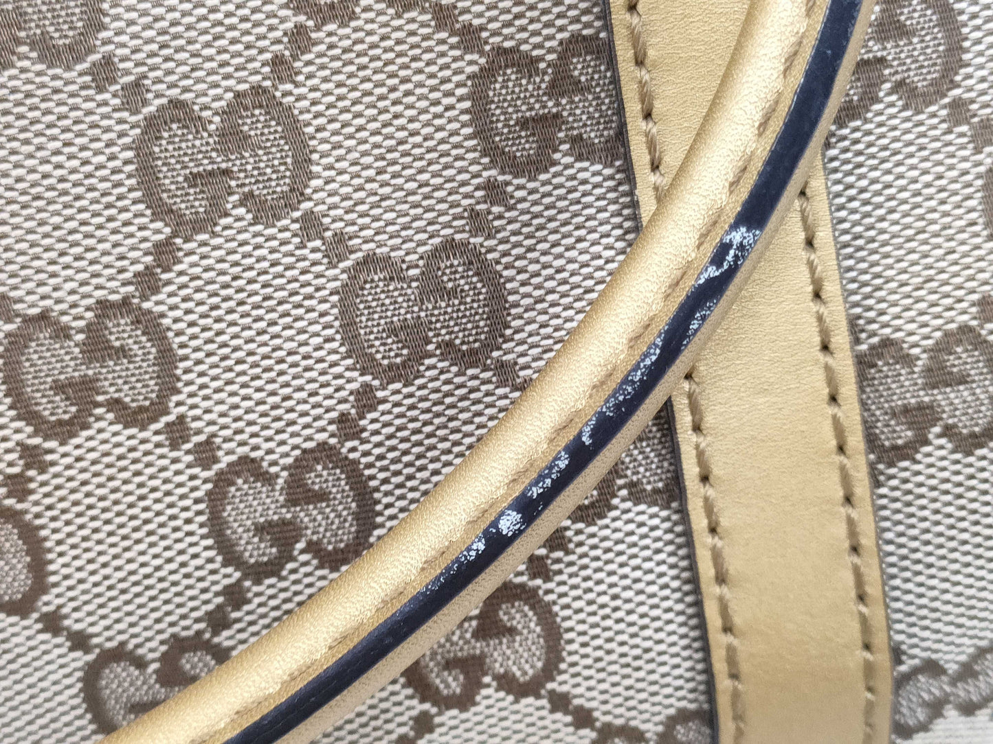 GUCCI GUCCI GG Canvas Tote Bag 257069 520981 Tote Bag