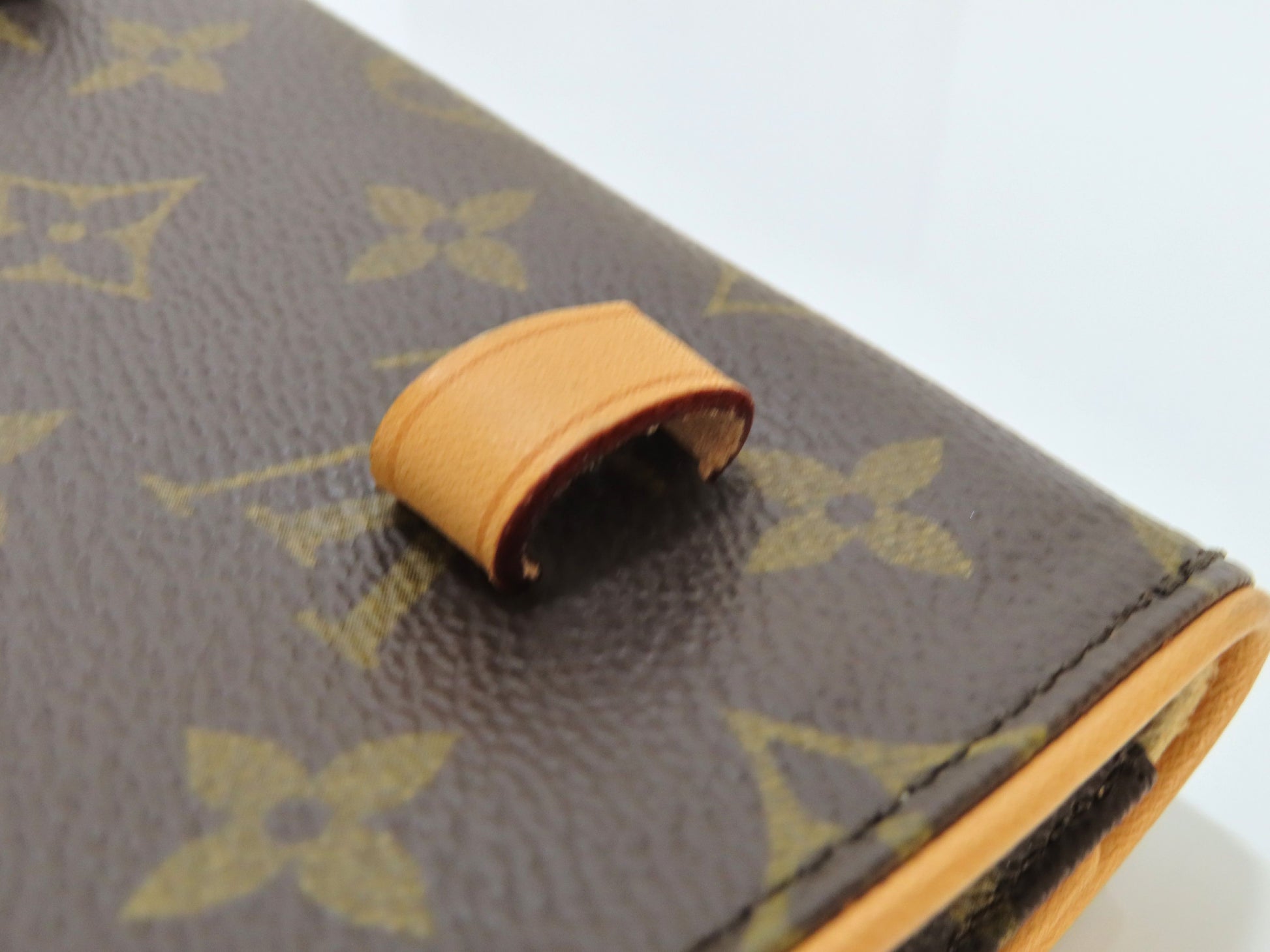 LOUIS VUITTON LV Pochette Florentine Waist/Body Bag Monogram