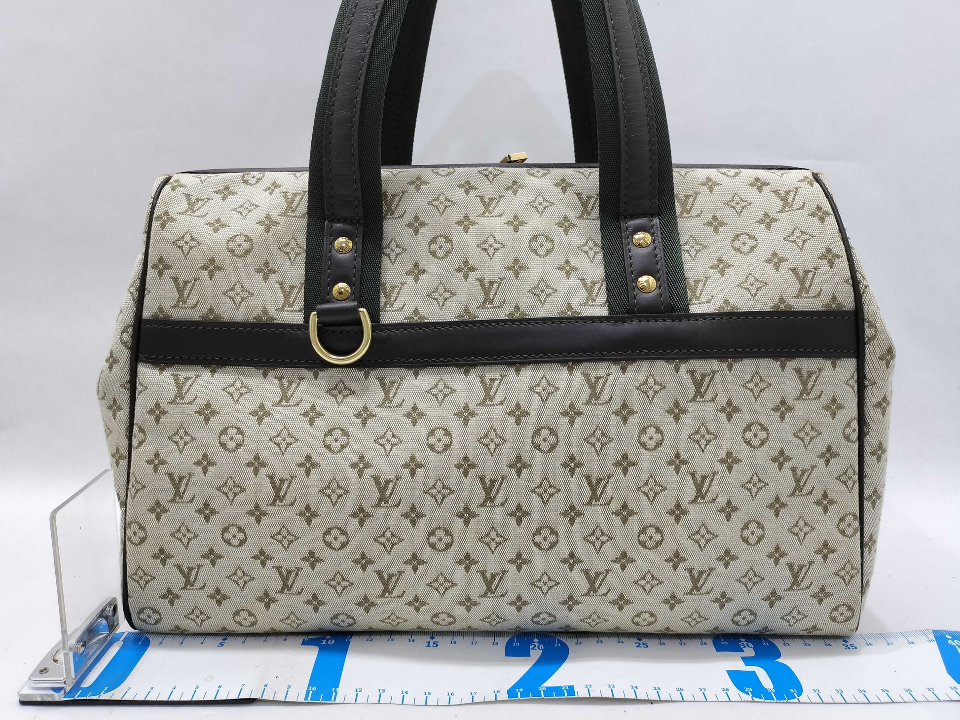 LOUIS VUITTON Josephine handbag