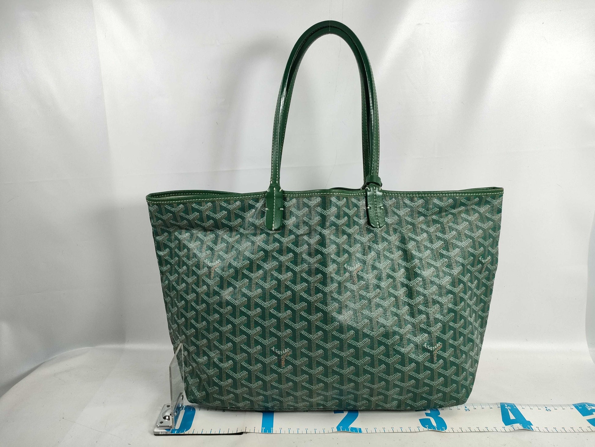 GOYARD Saint Louis PM Green Tote Bag