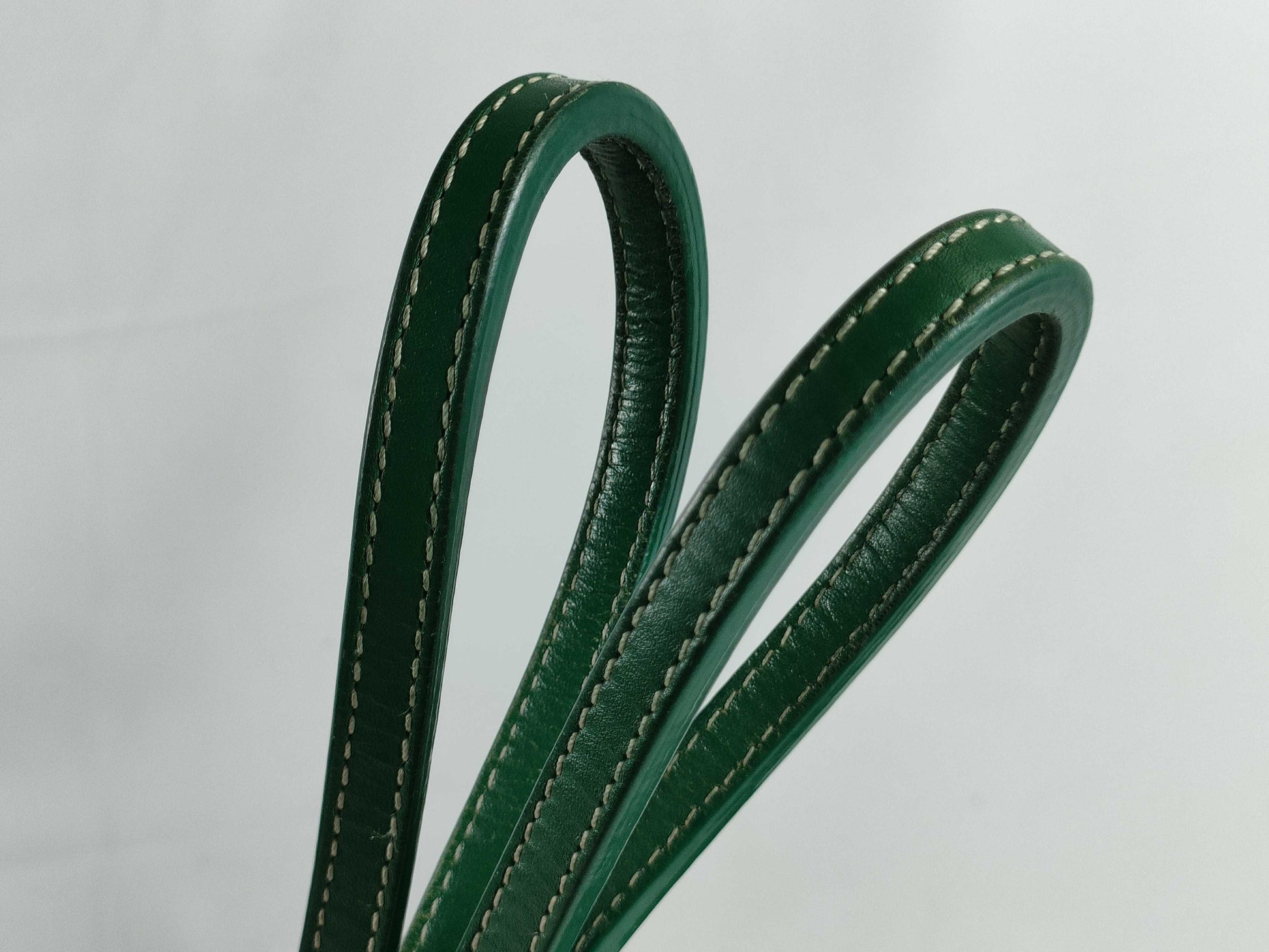 GOYARD Saint Louis PM Green Tote Bag