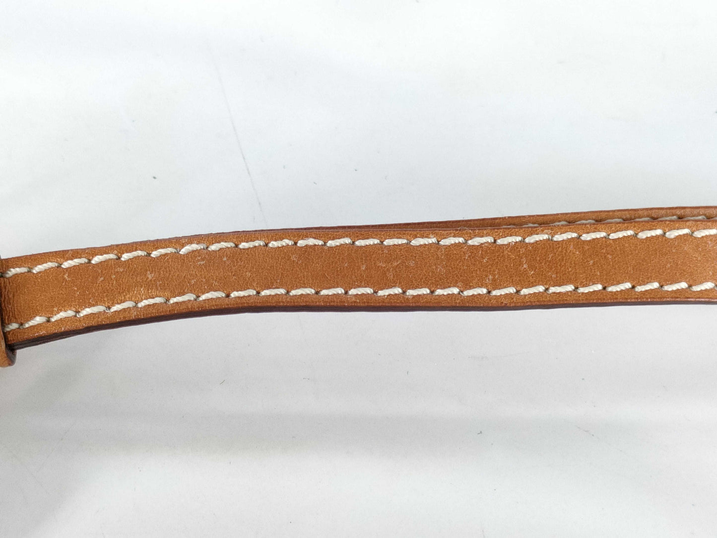 Dior Neck Strap with Silver Hardware