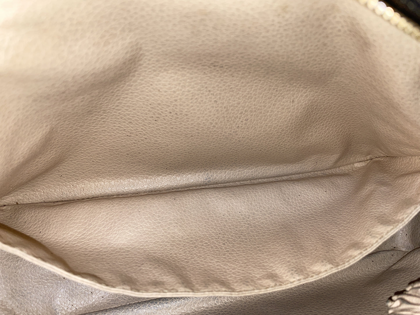 LOUIS VUITTON True Toilet M47522 Clutch Bag