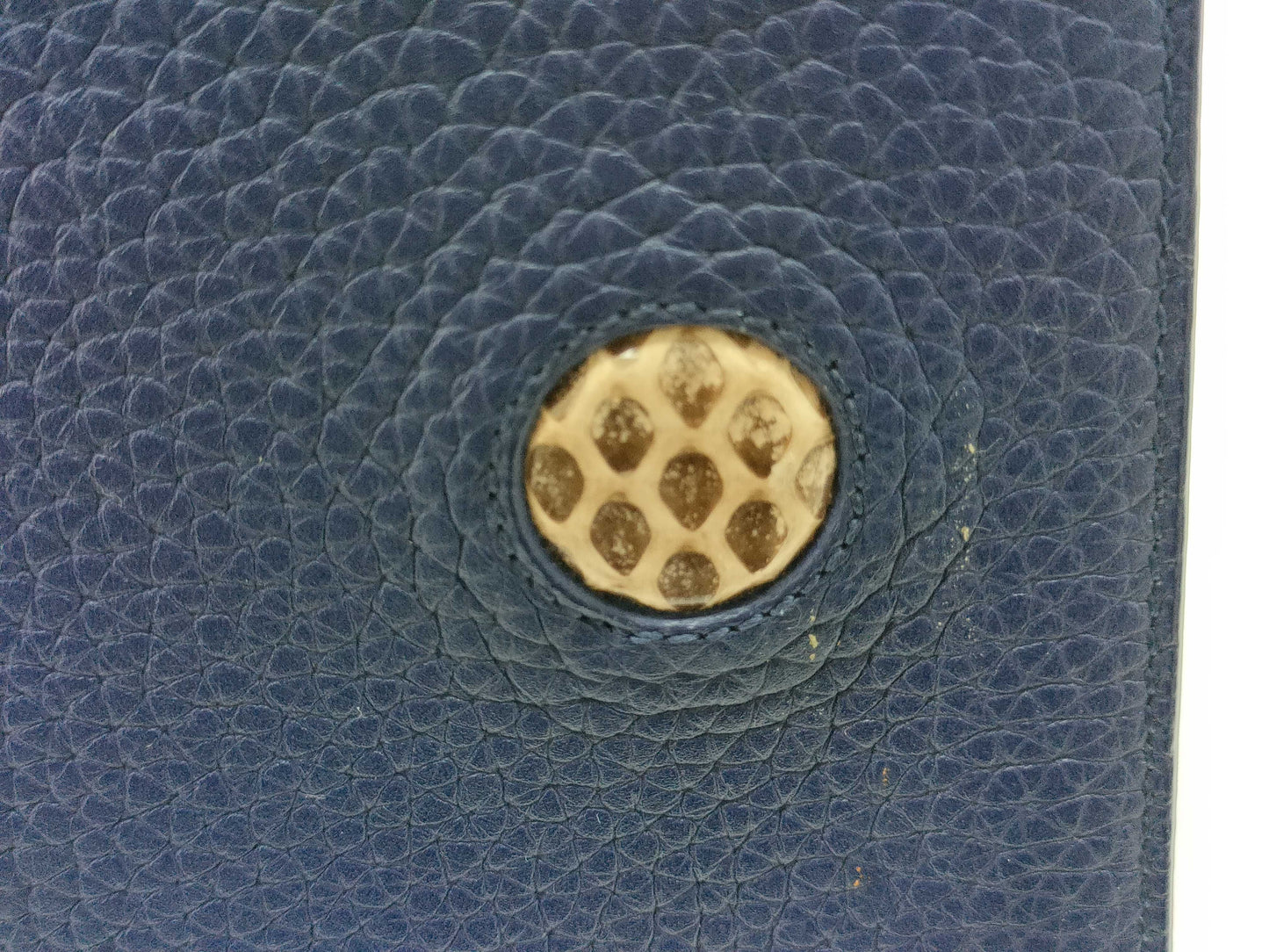 Dior Ever Handbag Leather x Python Handbag