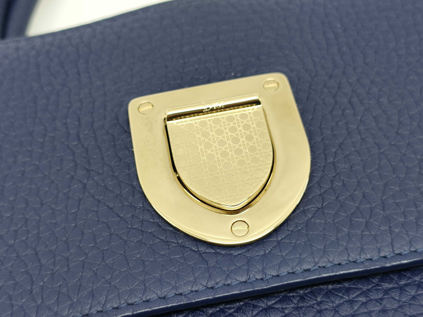 Dior Ever Handbag Leather x Python Handbag
