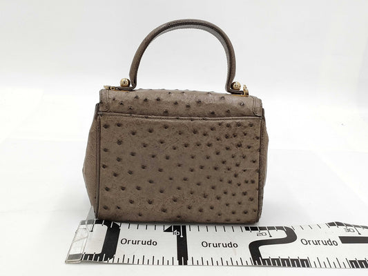 Comtesse 2-Way Ostrich Shoulder Bag