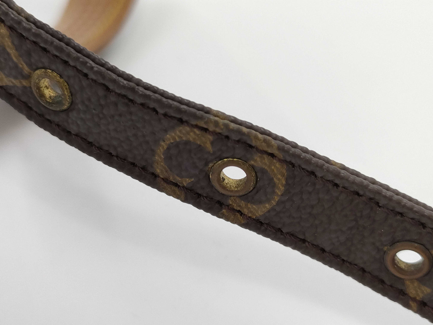 LOUIS VUITTON Amazon Shoulder Bag
