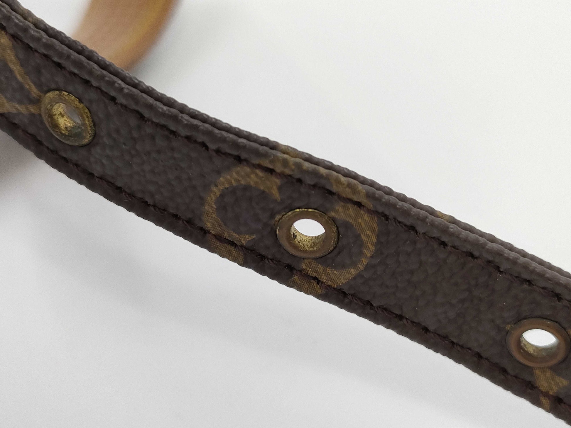 LOUIS VUITTON Amazon Shoulder Bag